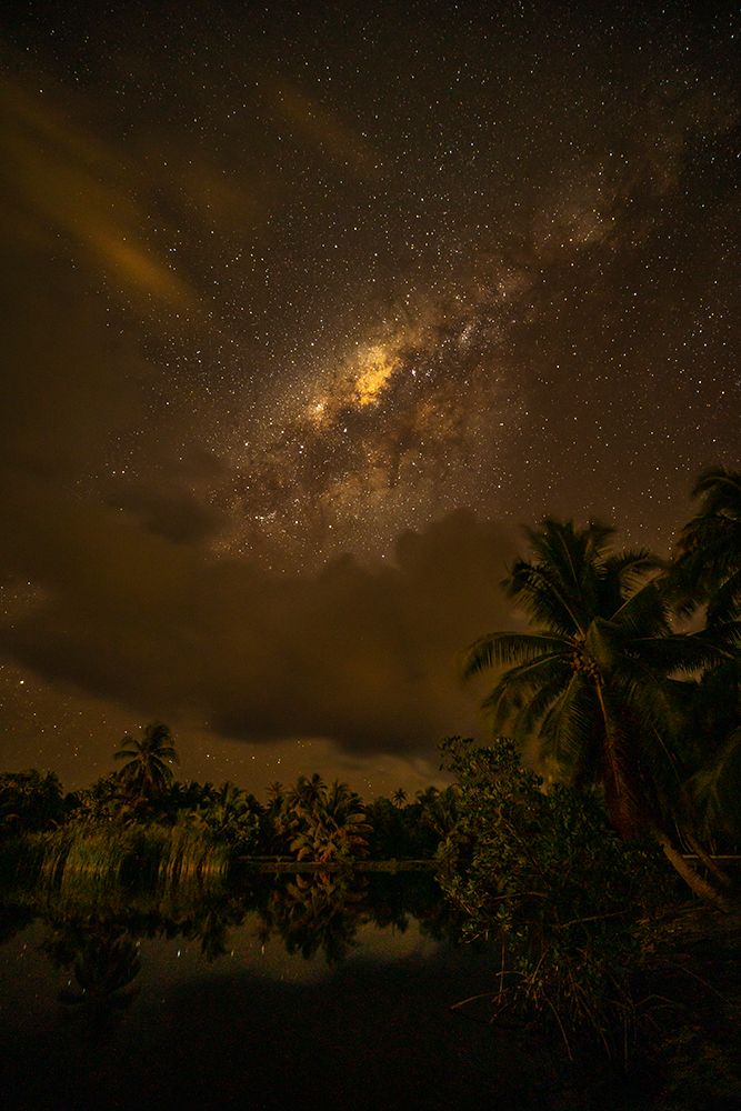 French Polynesia- Tahaa. Palm trees and night sky with Milky Way.